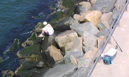 Fishing the Rockpiles I