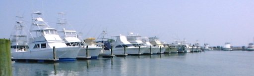 The Fleet at I.R. Inlet