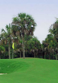 beach golf