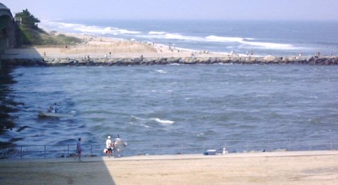 Indian River Inlet De Tide Chart